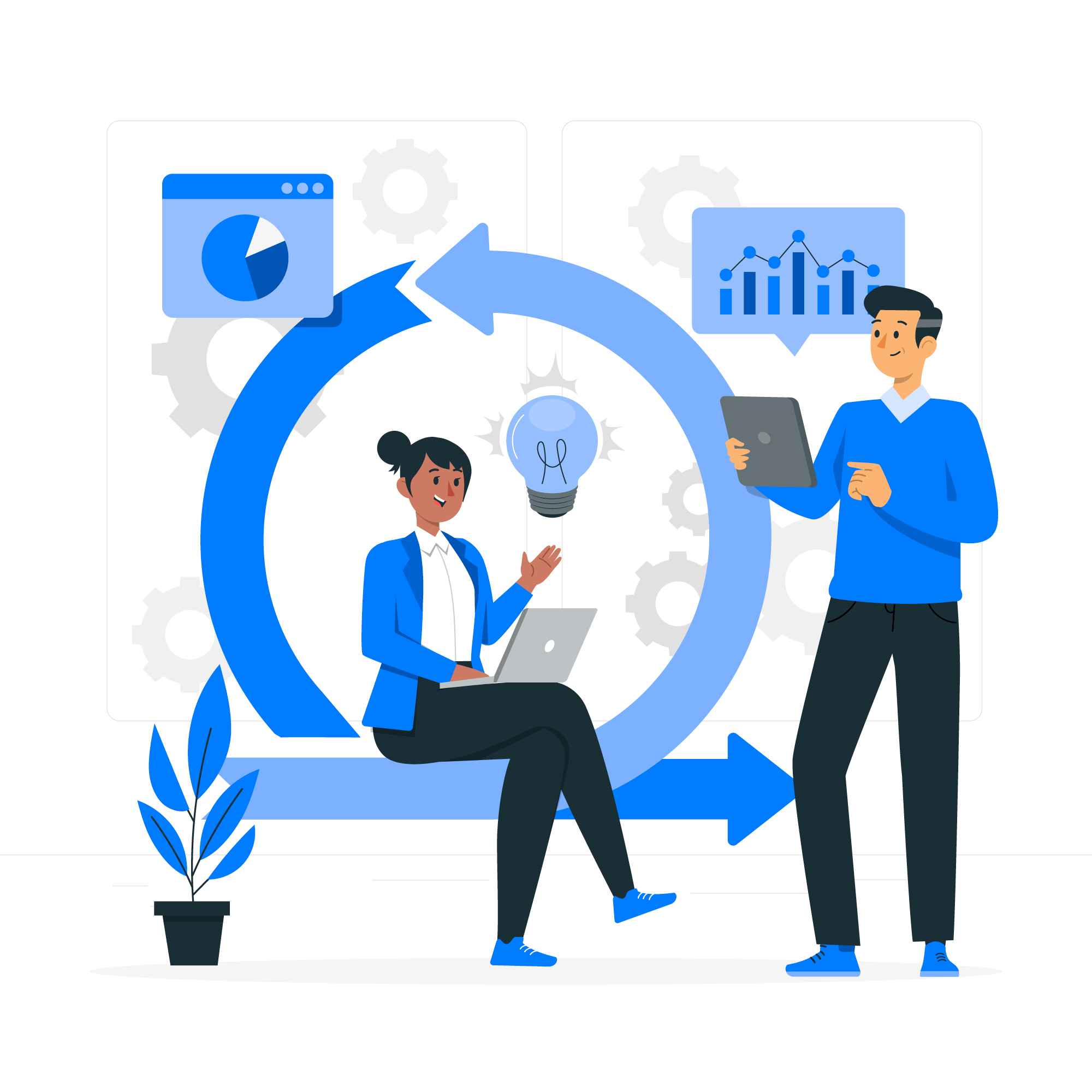 Developer vision